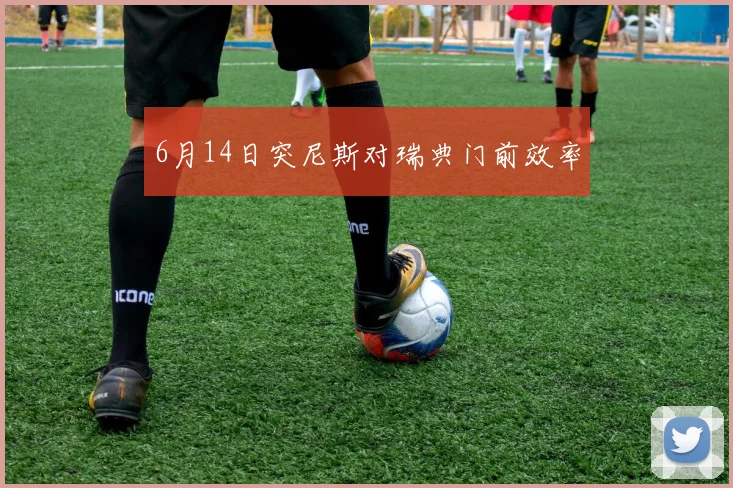 6月14日突尼斯对瑞典门前效率