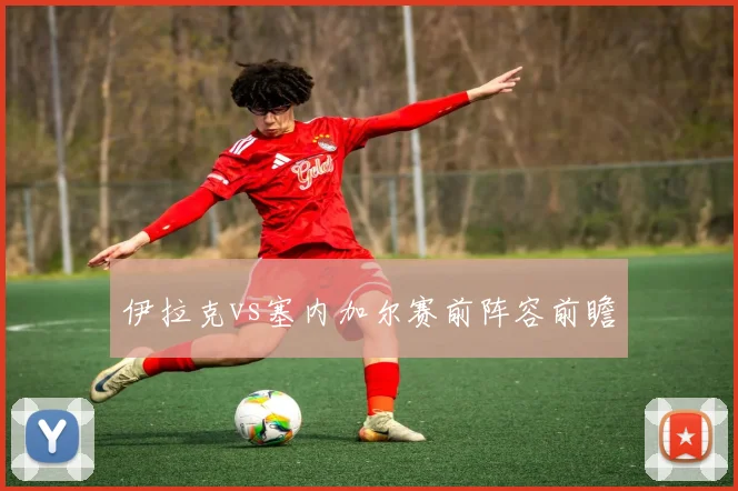 伊拉克vs塞内加尔赛前阵容前瞻